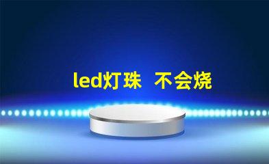 led灯珠  不会烧